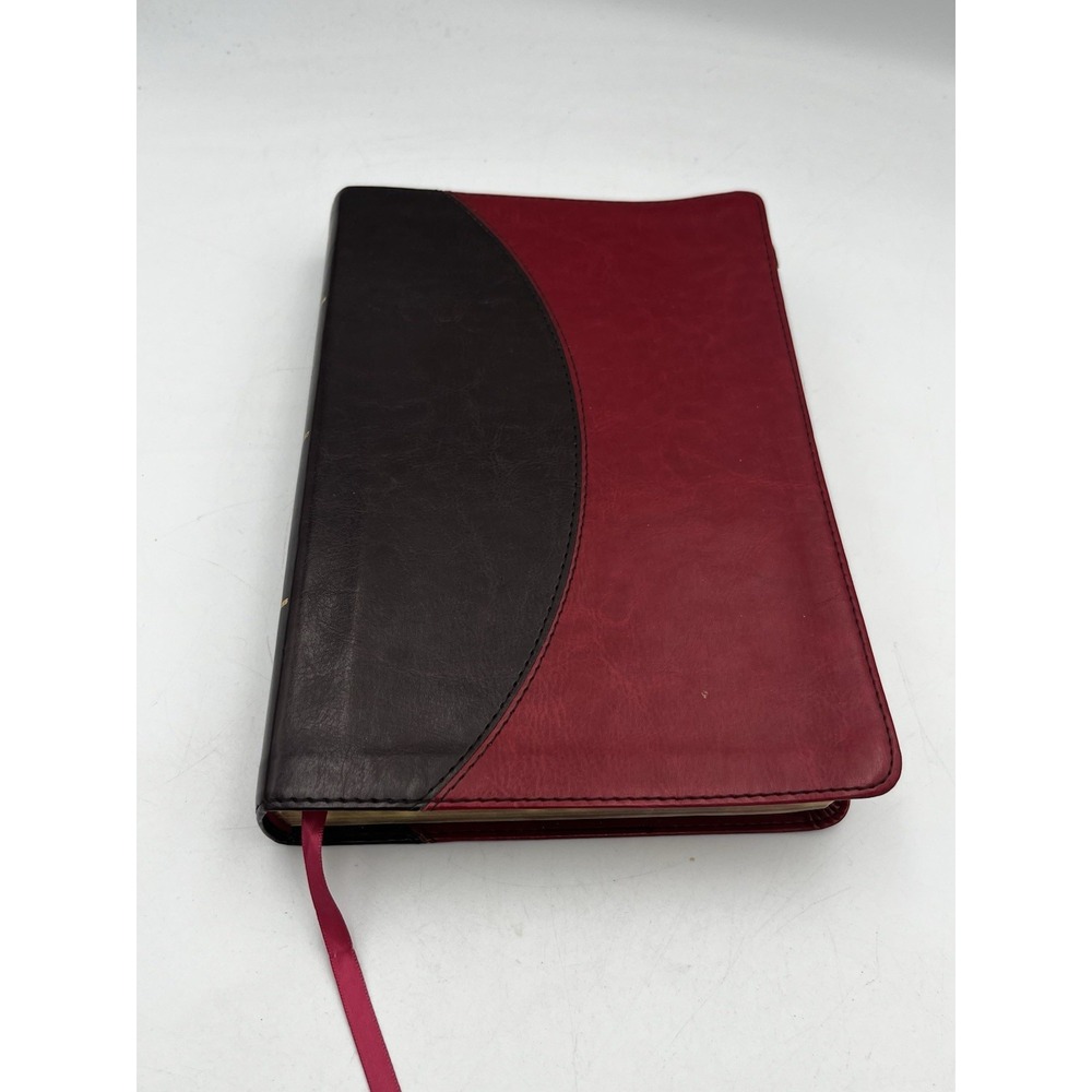 Holman Rainbow Study Bible Holy Bible New International Version Bold Line - Picture 2 of 8